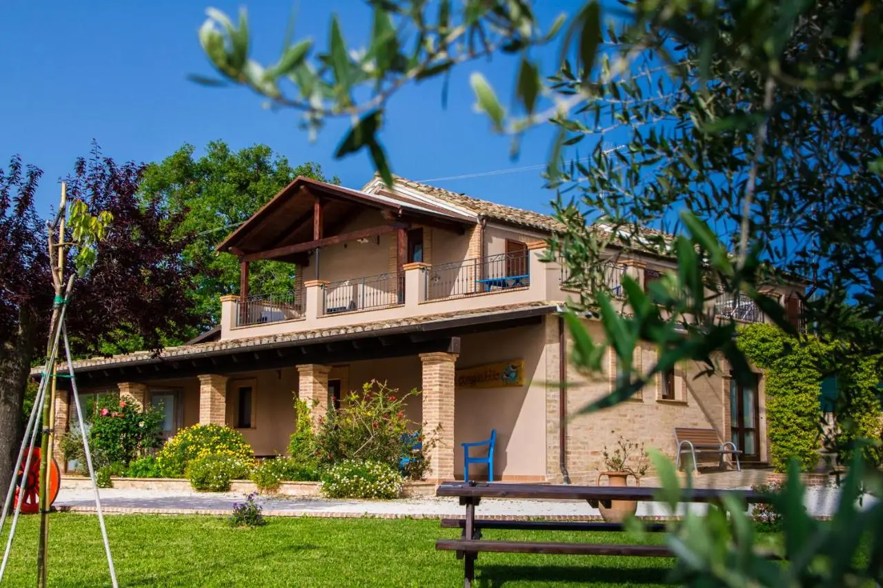 Facciata della villa con portico e terrazza tra gli ulivi