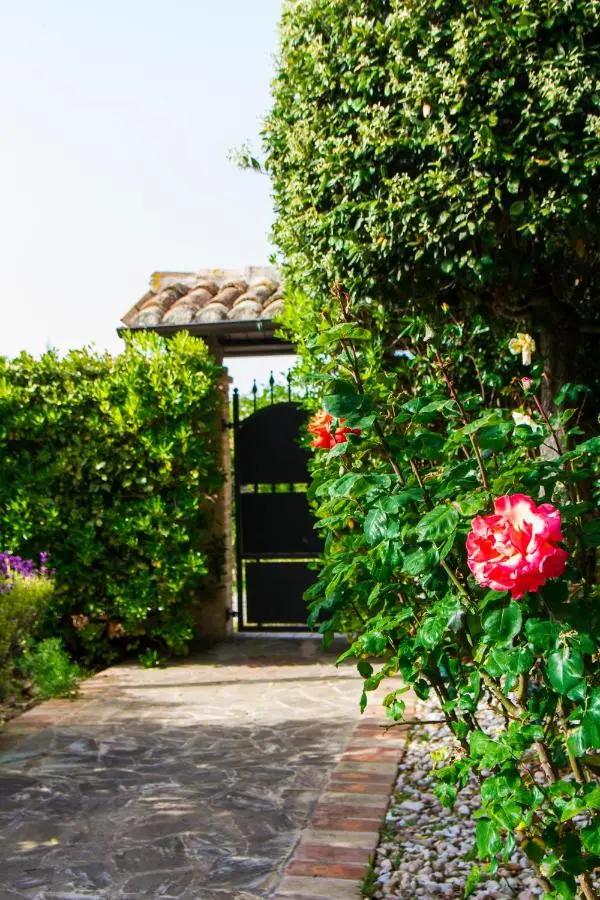 Vialetto con rose e cancelletto in ferro battuto