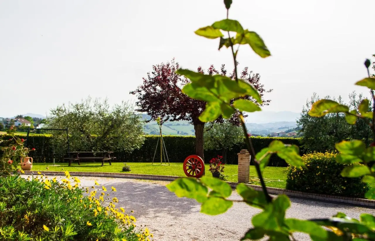 Giardino con ulivi, ruota rossa e fiori gialli