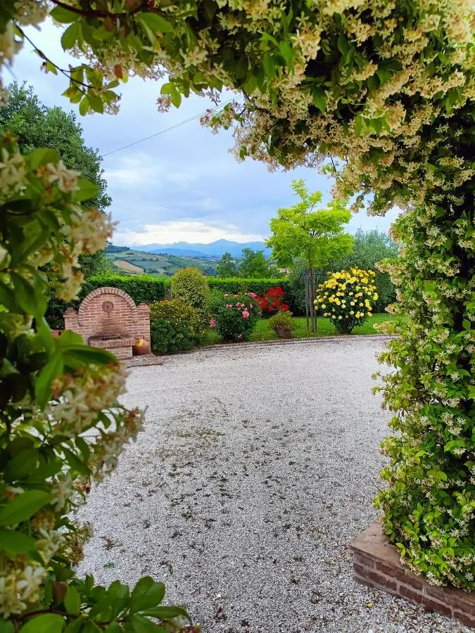 Gelsomino in fiore, vialetto e rose con vista montagne