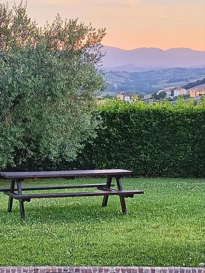 Tavolo da picnic sotto l'ulivo al tramonto