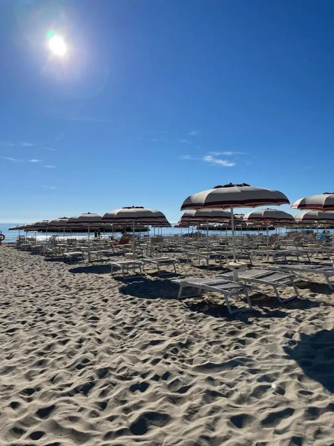 Ombrelloni e lettini sulla spiaggia soleggiata